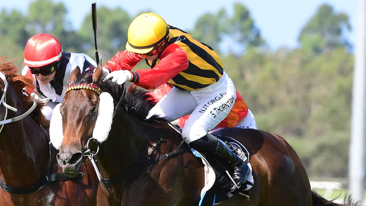 Toowoomba trainer Rex Lipp has big summer goals with Simply Fly. Picture: Trackside Photography