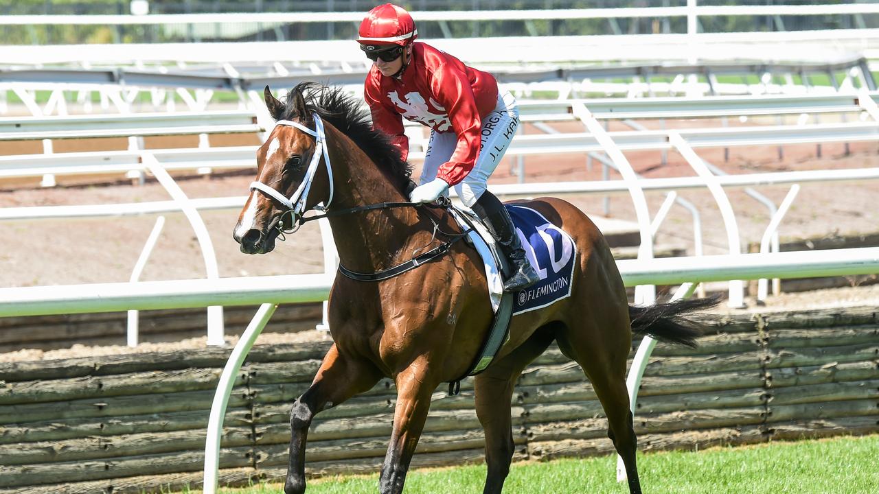 Way To Go Paula will be hard to beat for trainer Phillip Stokes and jockey Ben Allen in the last race at Moe. Picture: Racing Photos via Getty Images