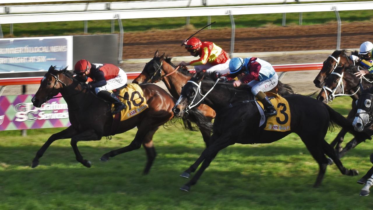 Purrfect Deal winning the Grafton Cup in July. Picture: The Daily Examiner