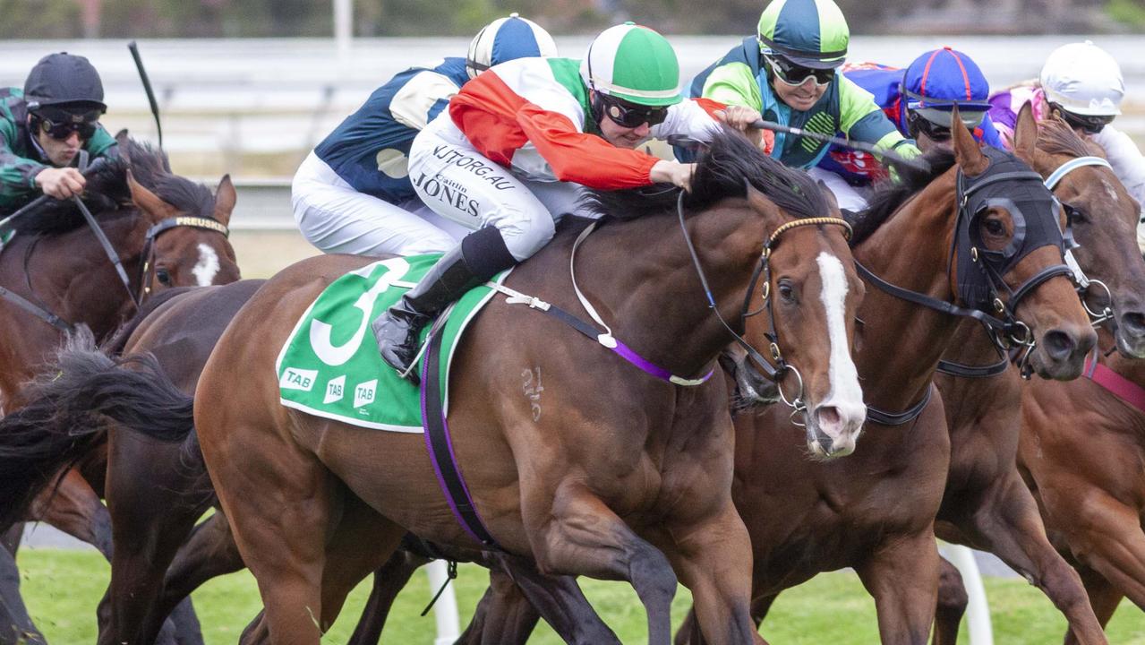 Regalo Di Gaetano runs in the Murray Bridge Gold Cup on Friday. Picture: Atkins Photography