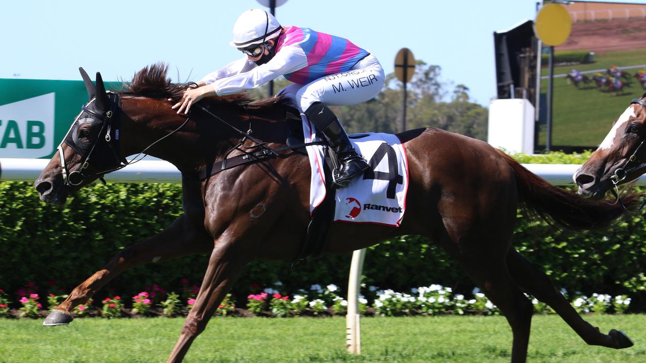 The Kristen Buchanan-trained Margie Bee looks hard to beat in the Krambach Cup. Picture: Grant Guy