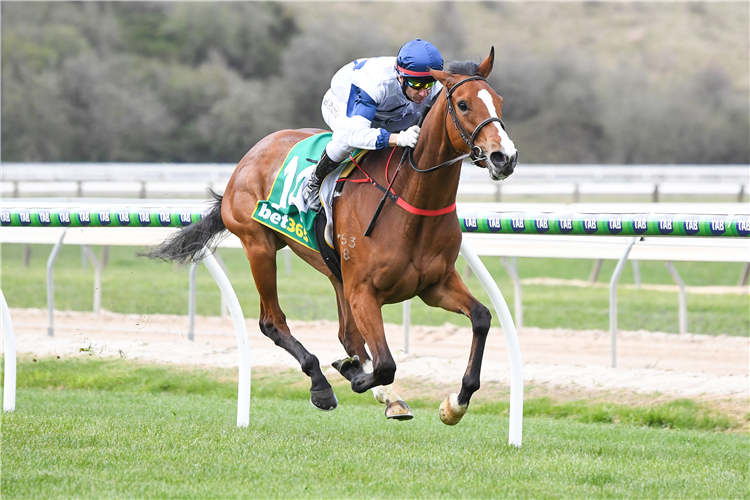 Kapalua Sunset streets her rivals at Kyneton.