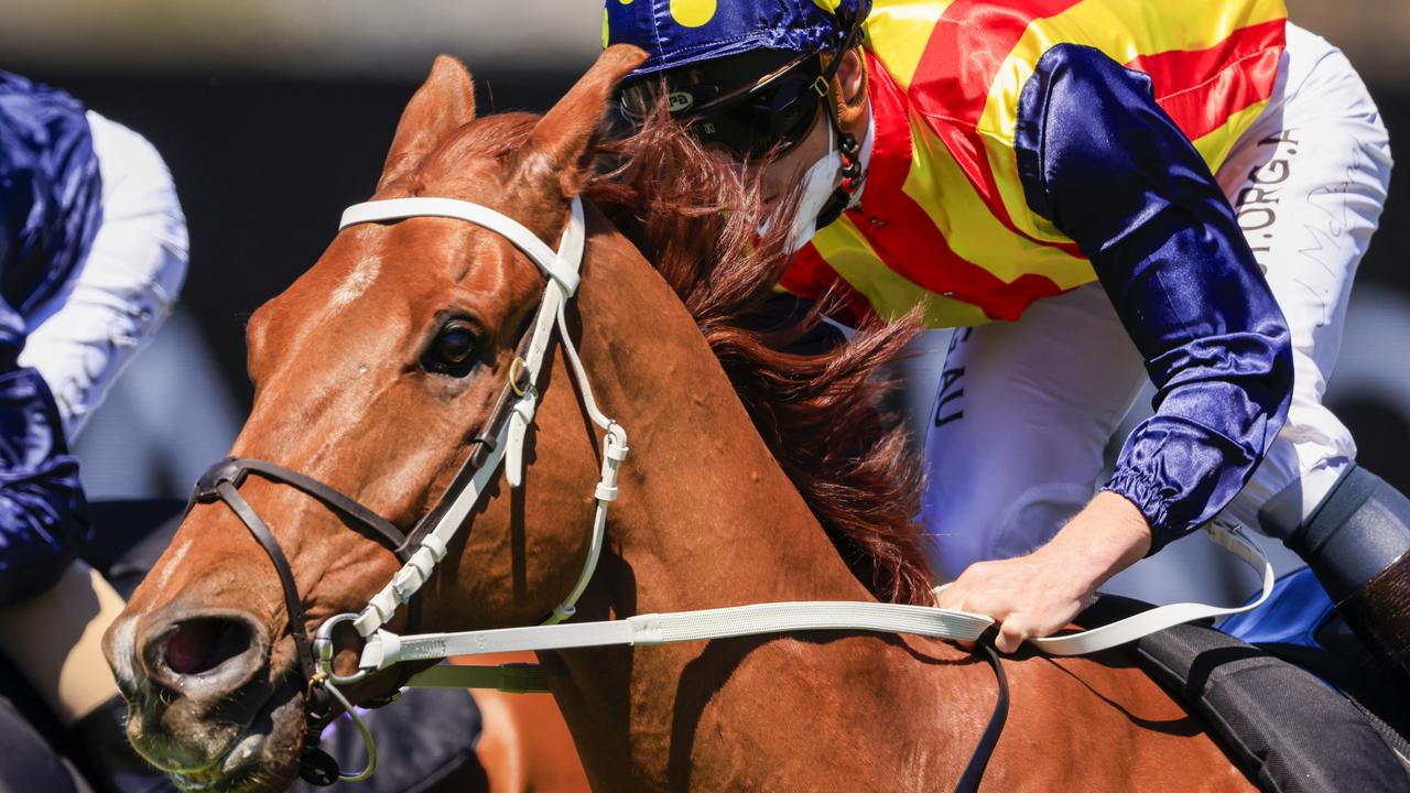 James McDonald is tipping a huge run by Nature Strip in The Everest. Picture: Getty Images