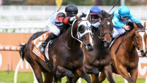 The addition of blinkers worked a treat for Gunstock in the Neds Classic at Caulfield. Picture: Racing Photos via Getty Images