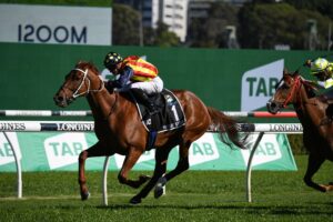 Nature Strip wins The Everest. Photo: Steve Hart.