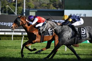 Warning takes out the St Leger Stakes. Photo: Steve Hart.