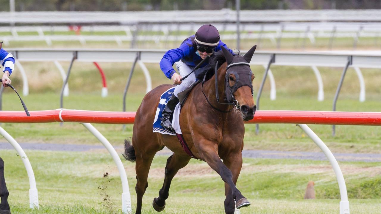 Ben Price rides Philonize to victory in the Rebel Raider Series final at Morphettville. Picture: Atkins Photography