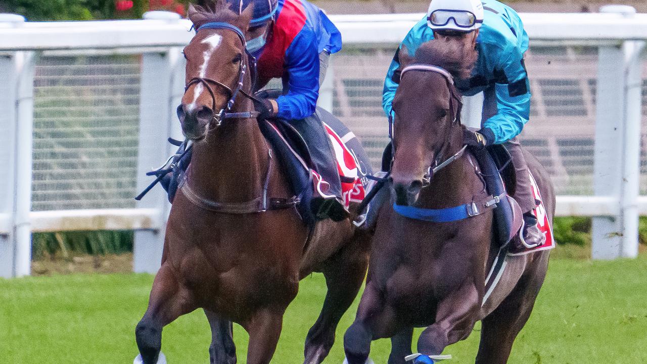 Zaaki ridden by Raphael Marchelli and Mo’unga ridden by Fred Kersley work together at Moonee Valley. Picture: Jay Town–Racing Photos via Getty Images