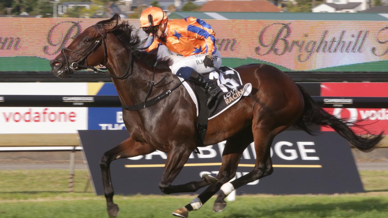 Smart New Zealand mare Entriviere is the favourite for the inaugural The Invitation at Randwick. Picture: Trish Dunell