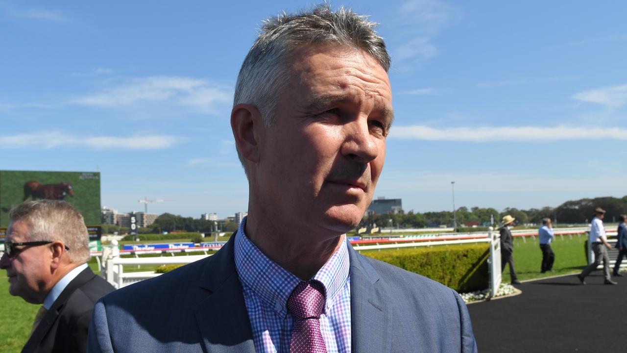 'Just disappointed': Japanese import cut from Cox Plate field - Vimarsana News