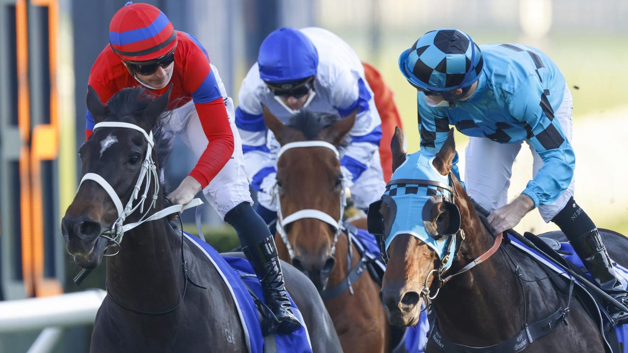 Mo'unga (right) beats Verry Elleegant in the Winx Stakes. The pair will clash in the $5 million Cox Plate on Saturday. (Photo by Mark Evans/Getty Images)