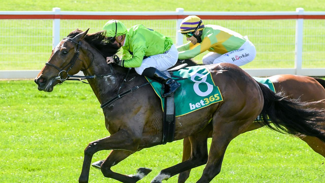 Tralee Rose shakes off Dr Drill to win the Geelong Cup. Picture: Racing Photos via Getty Images