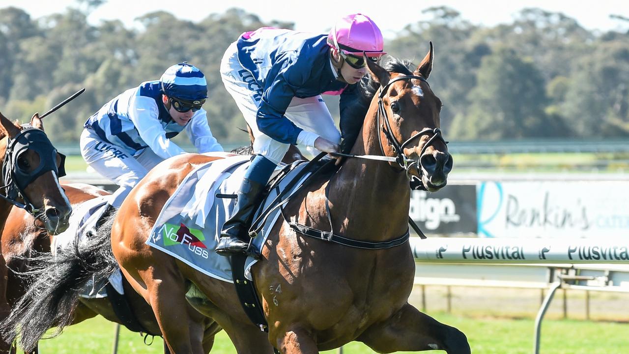 Express Pass will race for $1m in prizemoney in Friday night’s Manikato Stakes. Picture: Racing Photos via Getty Images