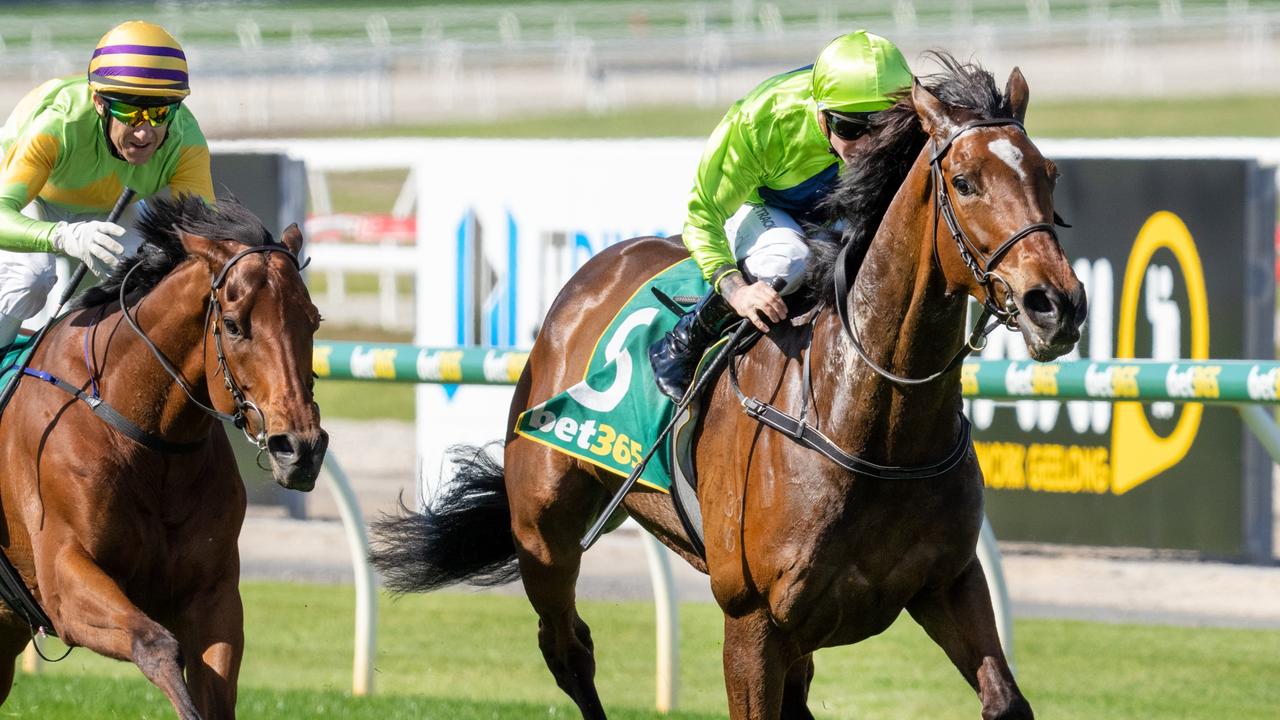 Tralee Rose surging to win the Geelong Cup with Dean Holland in the saddle. Picture: Getty Images