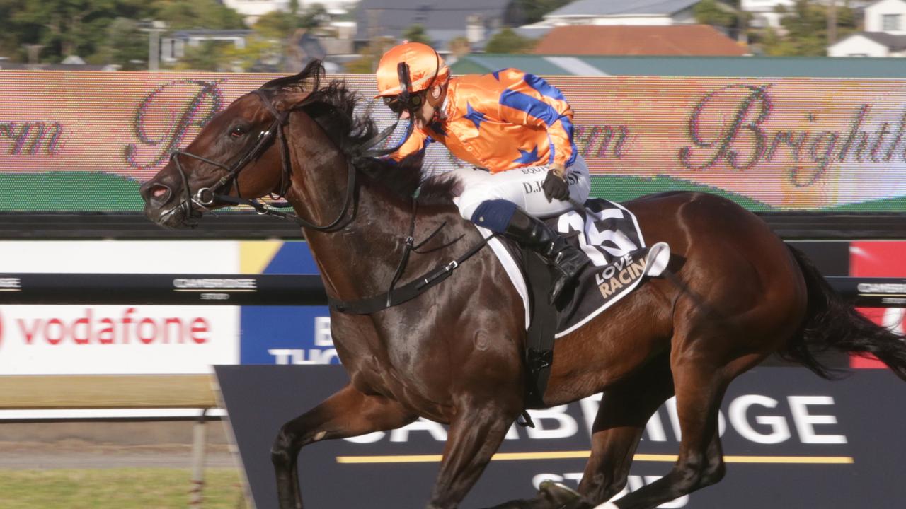 Entriviere is the favourite for the inaugural The Invitation at Randwick. Picture: Trish Dunell