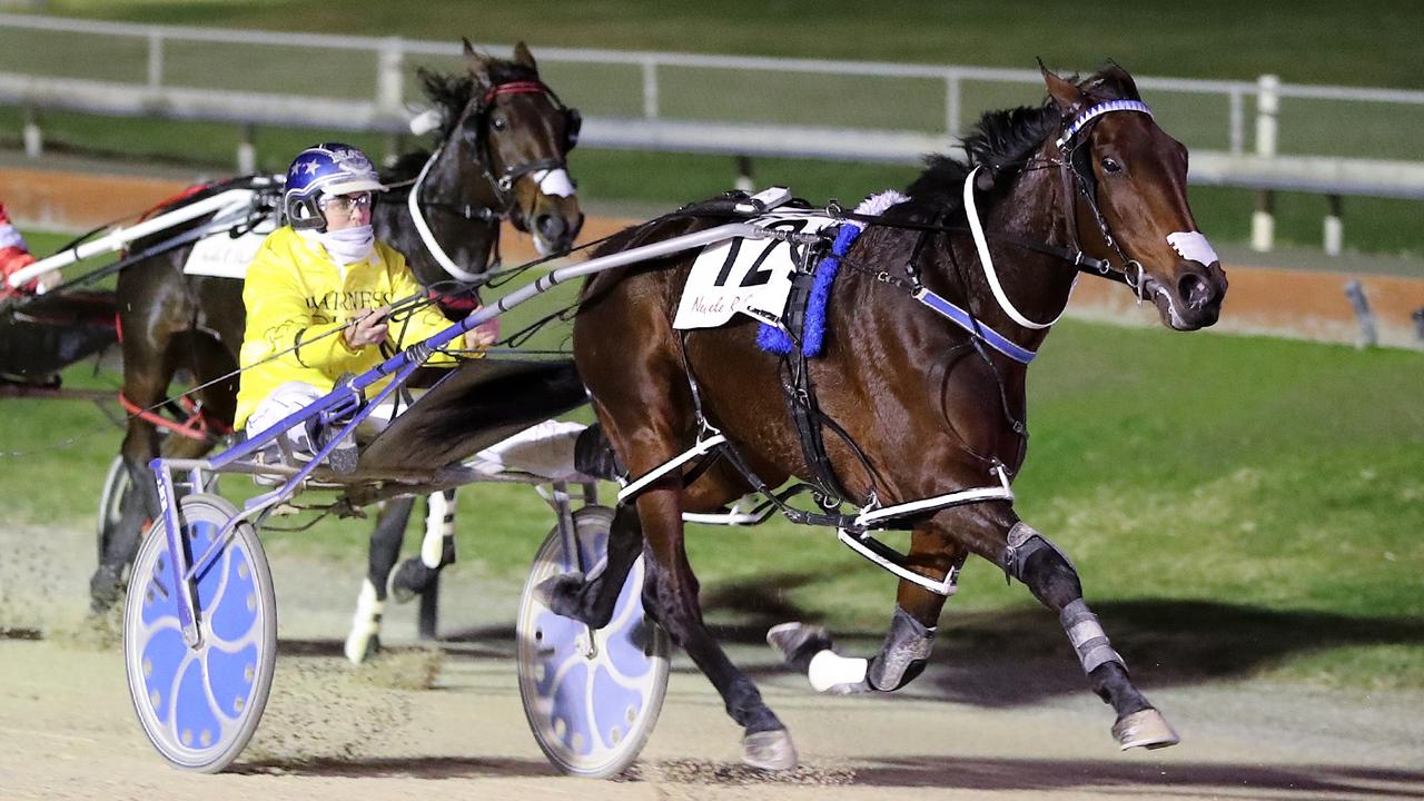 Bettor Twist will have her first Australian run in the 3YO Classic at Geelong. Picture: Harness Racing NZ