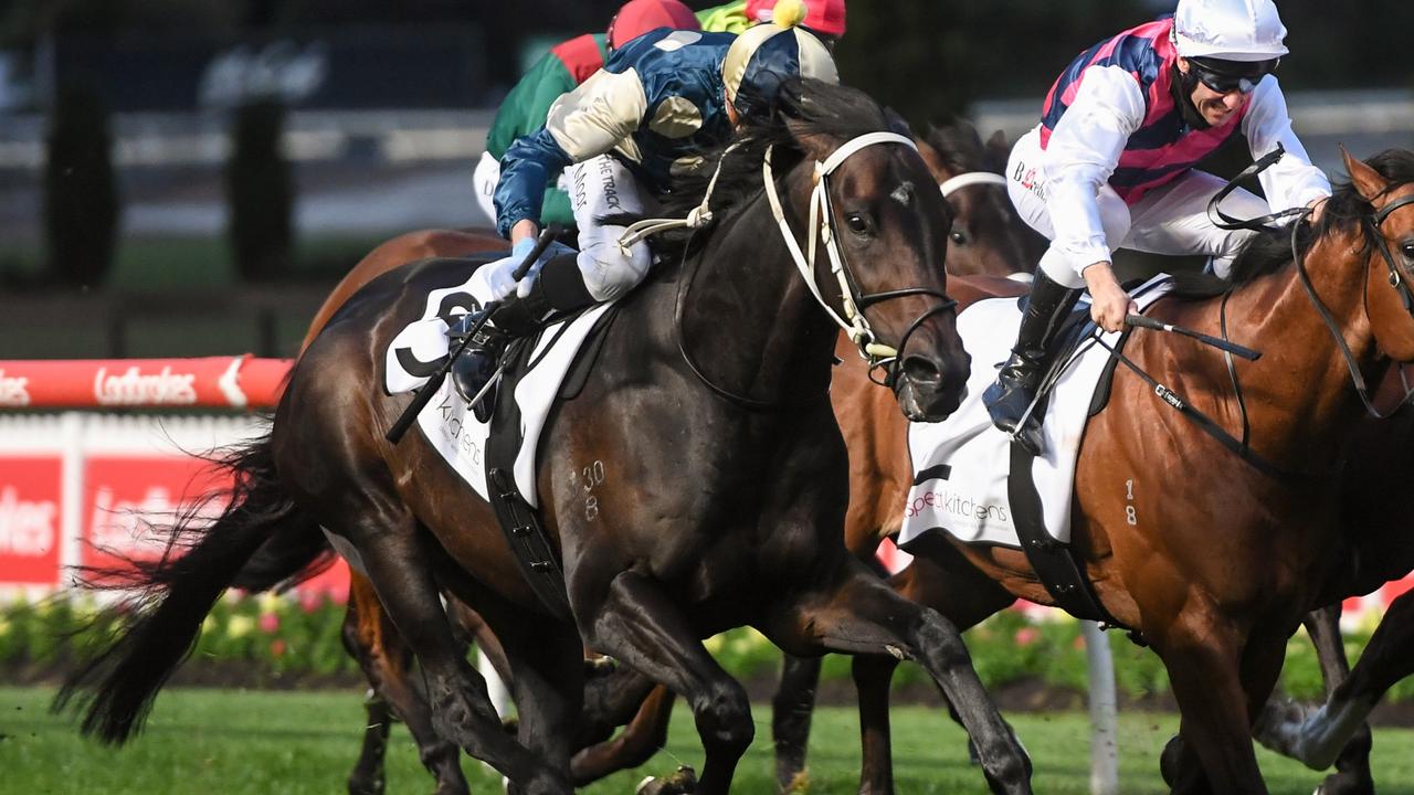 Stutt Stakes winner Forgot You is an odds-on favourite in the Group 2 Drummond Golf Vase at The Valley. Picture: Racing Photos via Getty Images