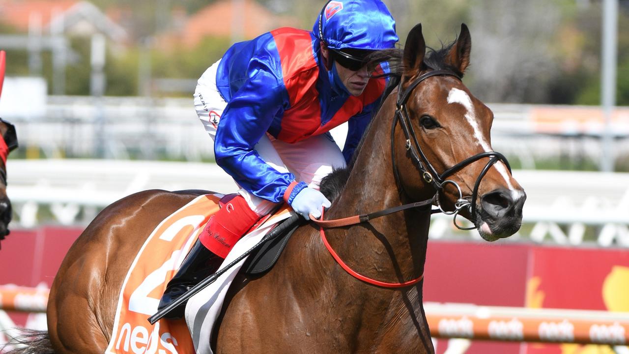 Zaaki has been heavily backed to win the Cox Plate. Picture: Getty Images