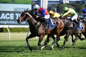 Hilal takes out the Bondi Stakes. Photo: Steve Hart.