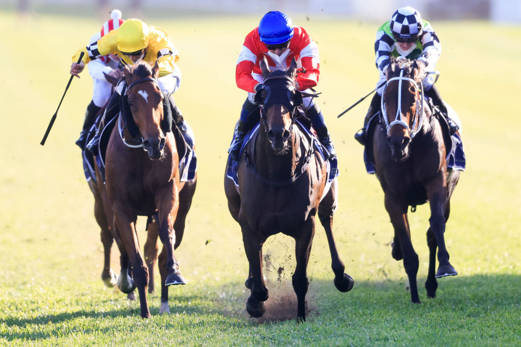 Icebath wins The Invitation at Randwick. Photo: Mark Evans/Getty Images.