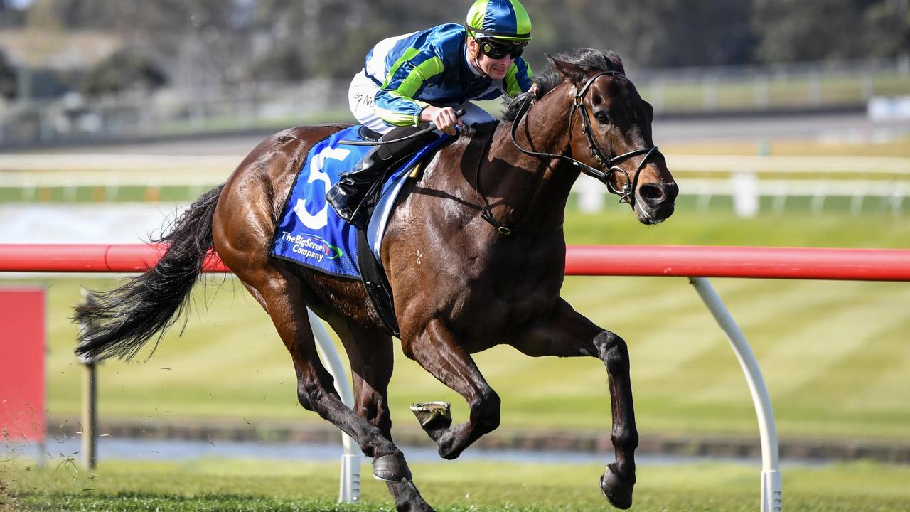 Floating Artist Is on the verge of a Melbourne Cup start after Monday’s fourth acceptances for the Flemington event. Picture : Racing Photos via Getty Images.