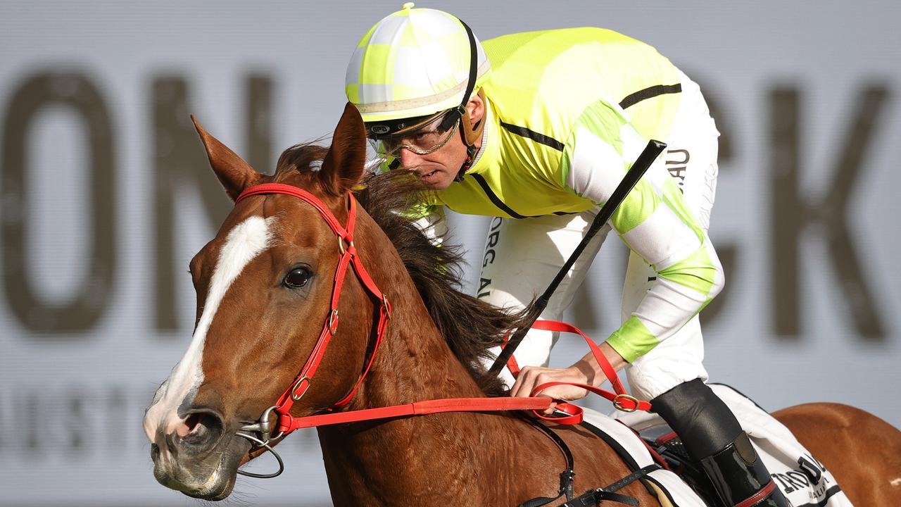 Trainer Joe Pride has options of the Classique Legend Stakes at Rosehill this Saturday or the Darley Classic at Flemington the following weekend for Eduardo. Picture: Getty Images