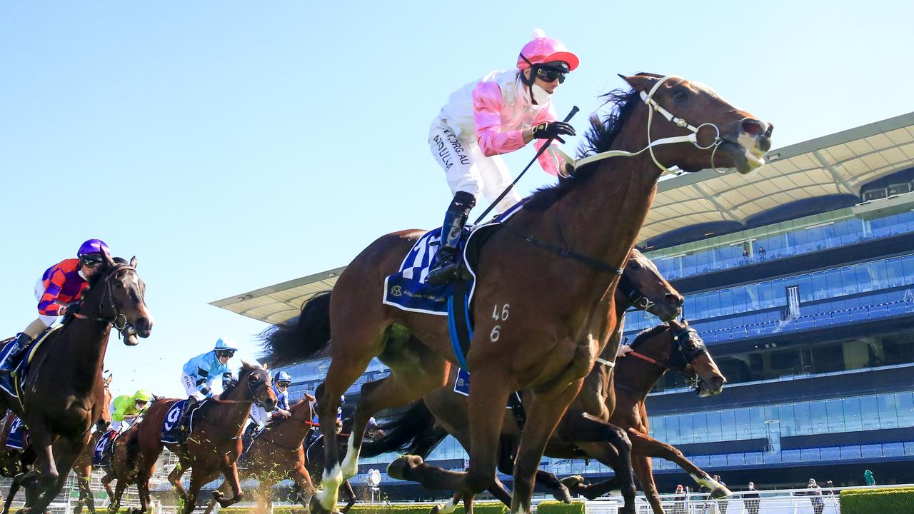 Tampering winning a Midway Handicap at Randwick in August. Picture: Picture: Getty Images