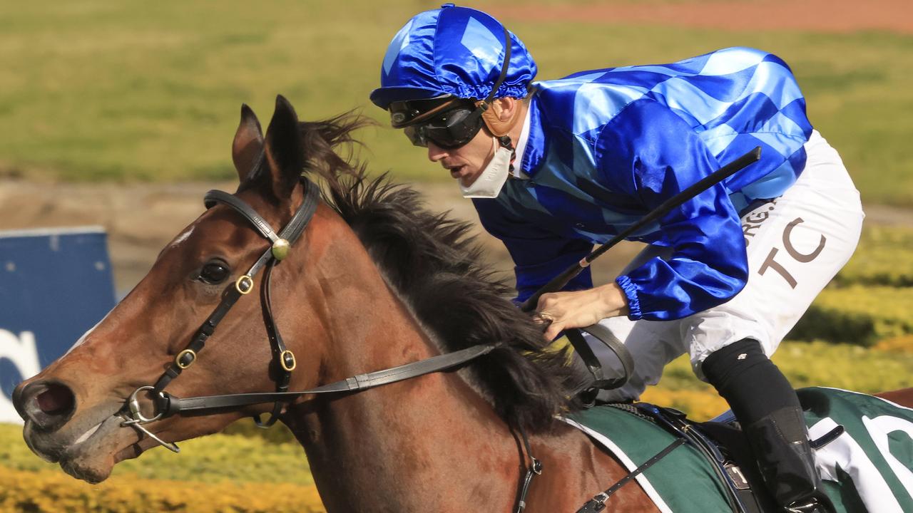 Vangelic (royal blue) runs in the Golden Eagle. Photo: Mark Evans/Getty Images