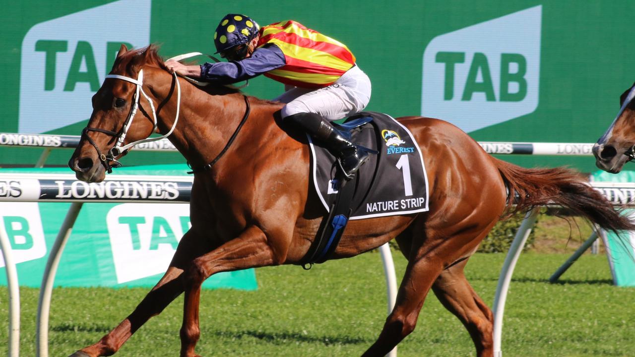 Nature Strip Has Vrc Sprint Classic At His Mercy Racenet