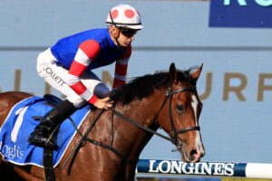 Jason Collett and Sejardan return to scale after winning the Golden Gift. Photo: Mark Evans/Getty Images.