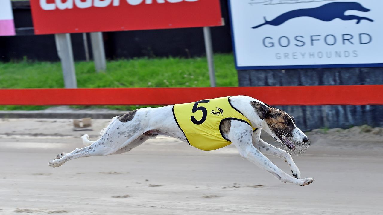 Star sprinter can Wow ‘Em in The Phoenix - Racenet