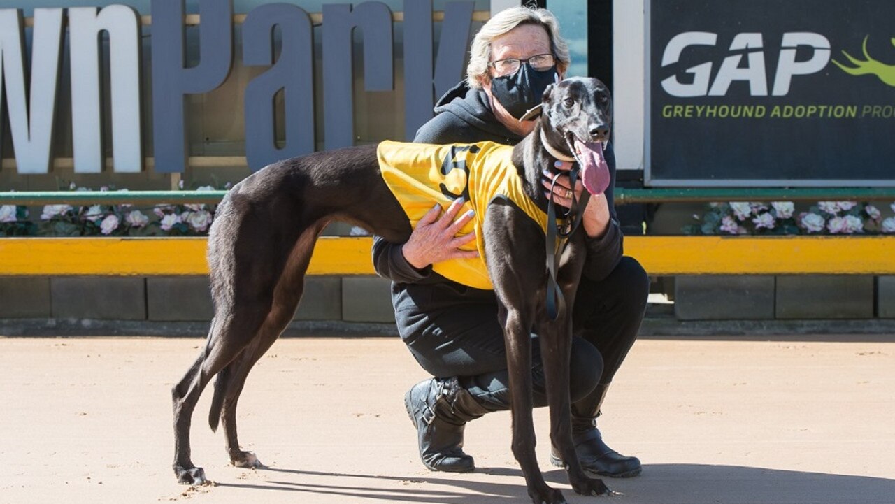 Wow She S Fast Eyes Historic Melbourne Cup Berth Racenet Wow She S Fast Eyes Historic Melbourne Cup Berth Racenet