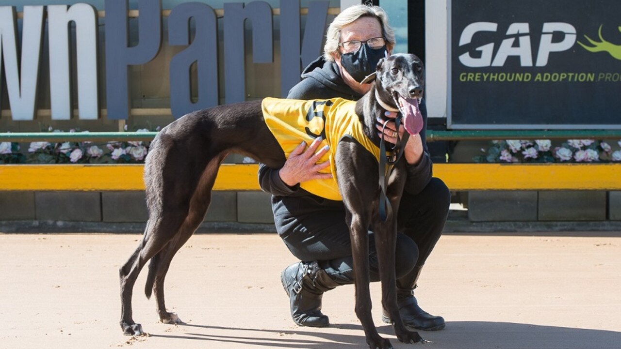 Melbourne Cup hopeful Wow She's Fast with Jackie Greenough (pic: Jason McKeon)