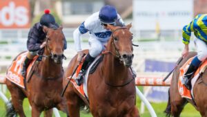 Malkovich is a dominant favourite to win The Warra at Kembla Grange on Saturday. Picture: Racing Photos via Getty Images