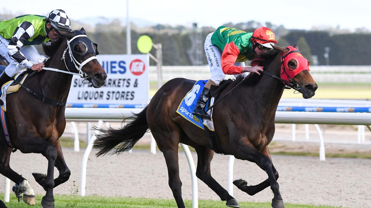 Nolen follows same plan on Zayydani to land Ballarat Cup - Vimarsana News