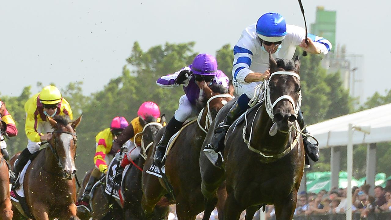 Shaquero winning the Magic Millions 2YO Classic at the Gold Coast in January. Picture: Trackside Photography