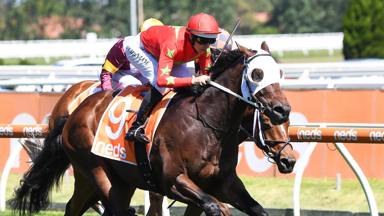 Blue Army stepped up from a Warrnambool maiden to win the Group 2 Sandown Guineas at Caulfield. Picture: Racing Photos via Getty Images