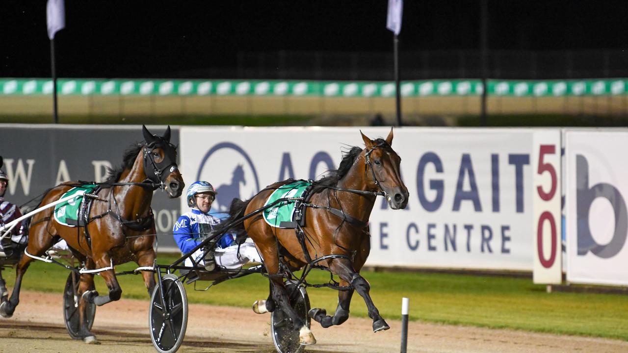 King Of Swing on his way to winning his Inter Dominion heat at Menangle. Picture: Supplied–Club Menangle