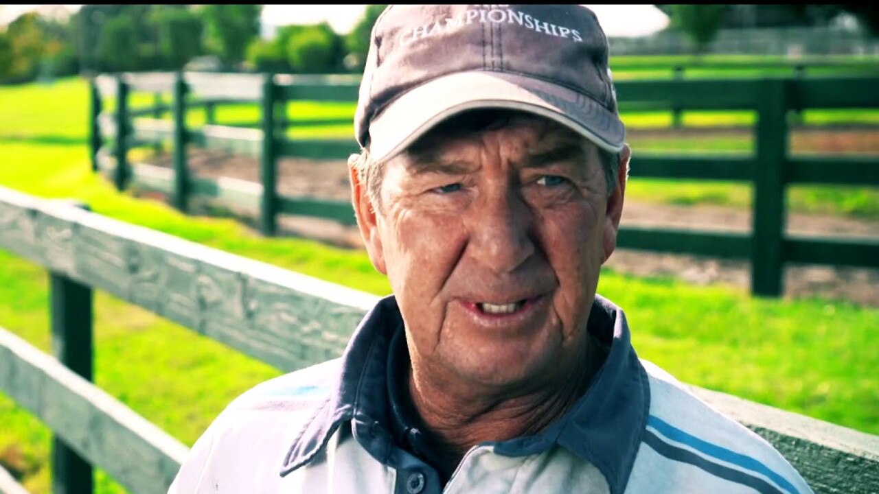 Wayne Hudd heads to the Sapphire Coast on Monday with a handy mare.