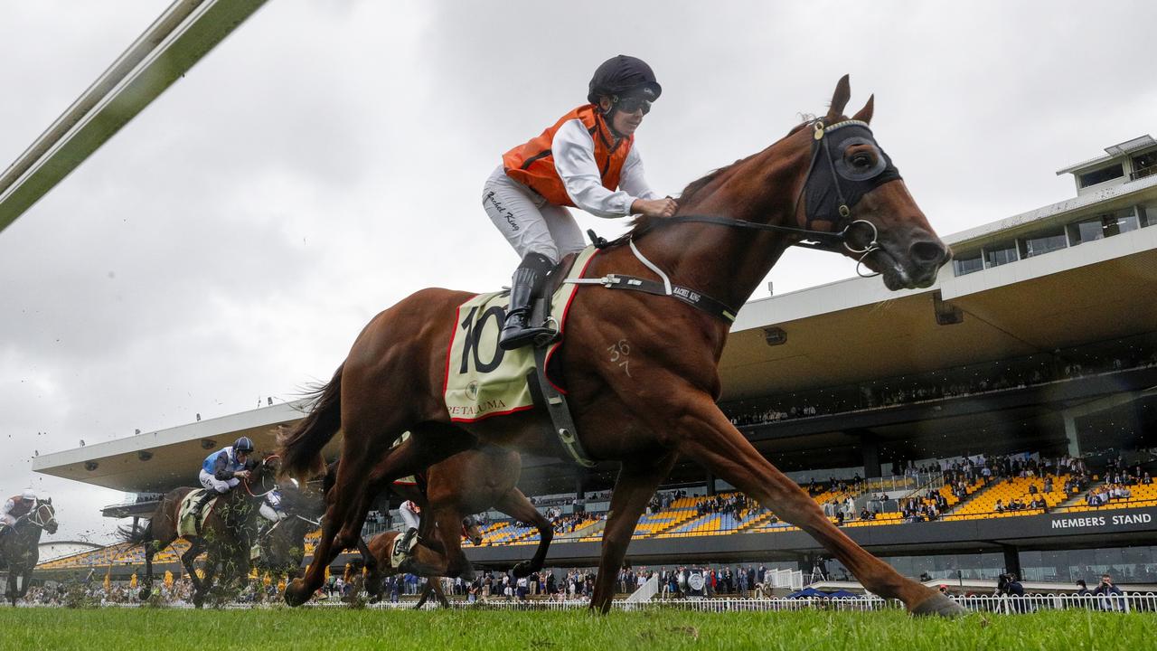 Ellsberg is the Villiers Stakes favourite. Photo: Jenny Evans/Getty Images