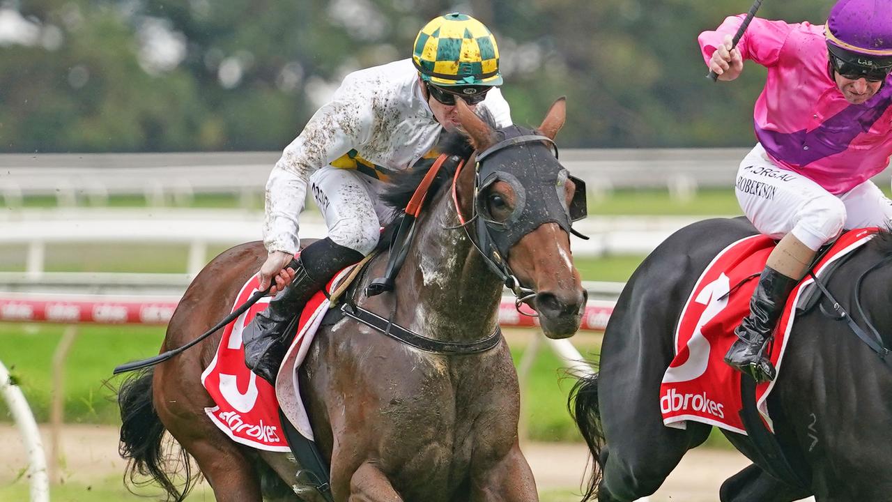 Beautifully bred mare Love Takes Time can return to winning form with extra fitness when the daughter of Galileo hits the track at Geelong on Wednesday. Picture: Racing Photos via Getty Images