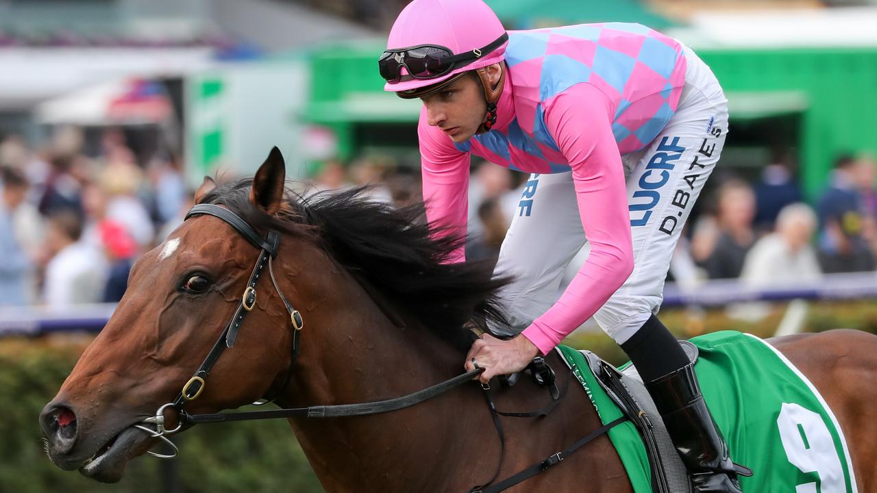 The Jarrod Austin-trained Looks Like Elvis will be in Melbourne looking for firmer tracks when he tackles Saturday's VOBIS Gold Bullion at Pakenham: Picture Racing Photos via Getty Images