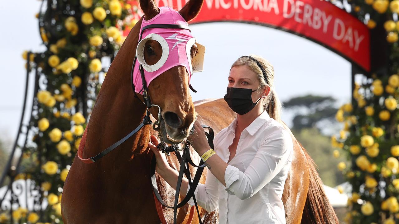 Jamie Kah strapping Bless Her at Flemington on Stakes Day for Clayton Douglas. Picture: Michael Klein