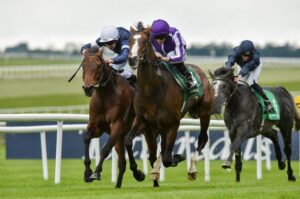 What is a Trifecta? [How To Place a Bet & Win] | Racenet