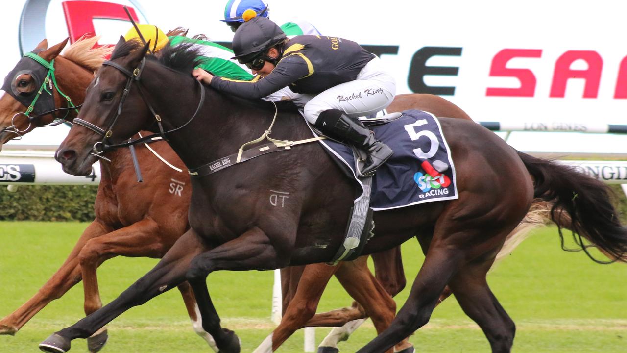 Nicci's Fling can give trainer Gary Portelli a winning start to the day at Rosehill on Saturday. Picture: Grant Guy