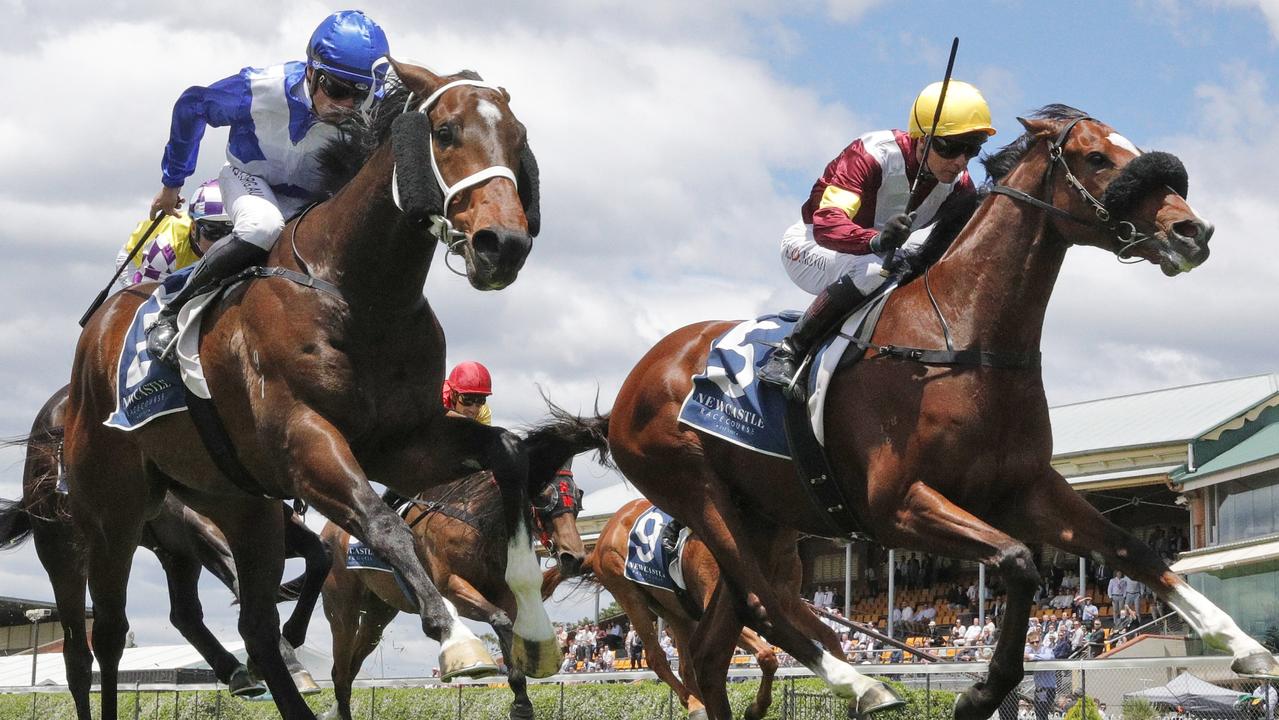 French import Huetor (right) is looking to make it two from two in Australia at Rosehill on Saturday. Picture: Getty Images