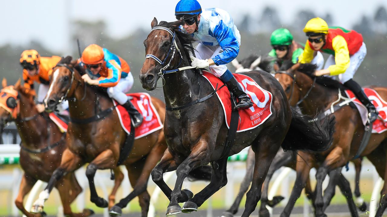 Racing at the Sunshine Coast. Photo: AAP Image/Albert Perez.