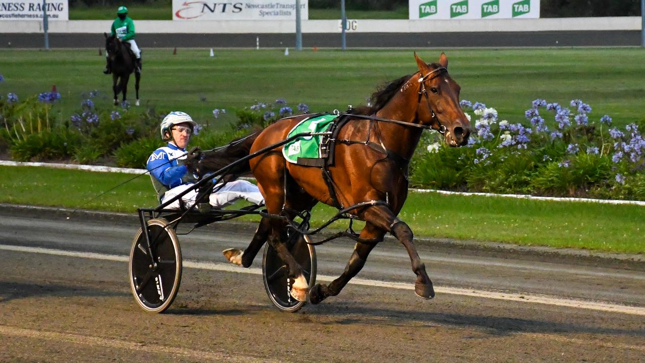 Luke McCarthy will stick with King Of Swing for Saturday night’s Inter Dominion Final at Menangle