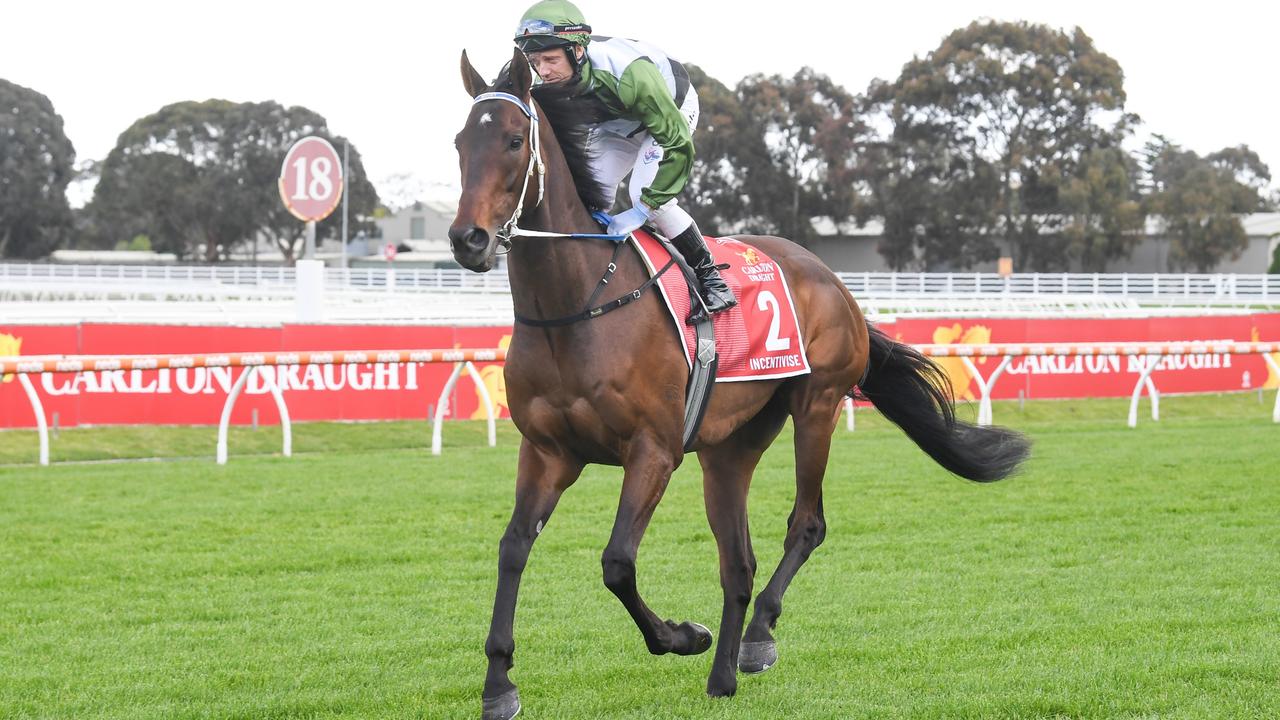 The future of brilliant stayer Incentivise is up in the air. Picture: Scott Barbour–Racing Photos via Getty Images