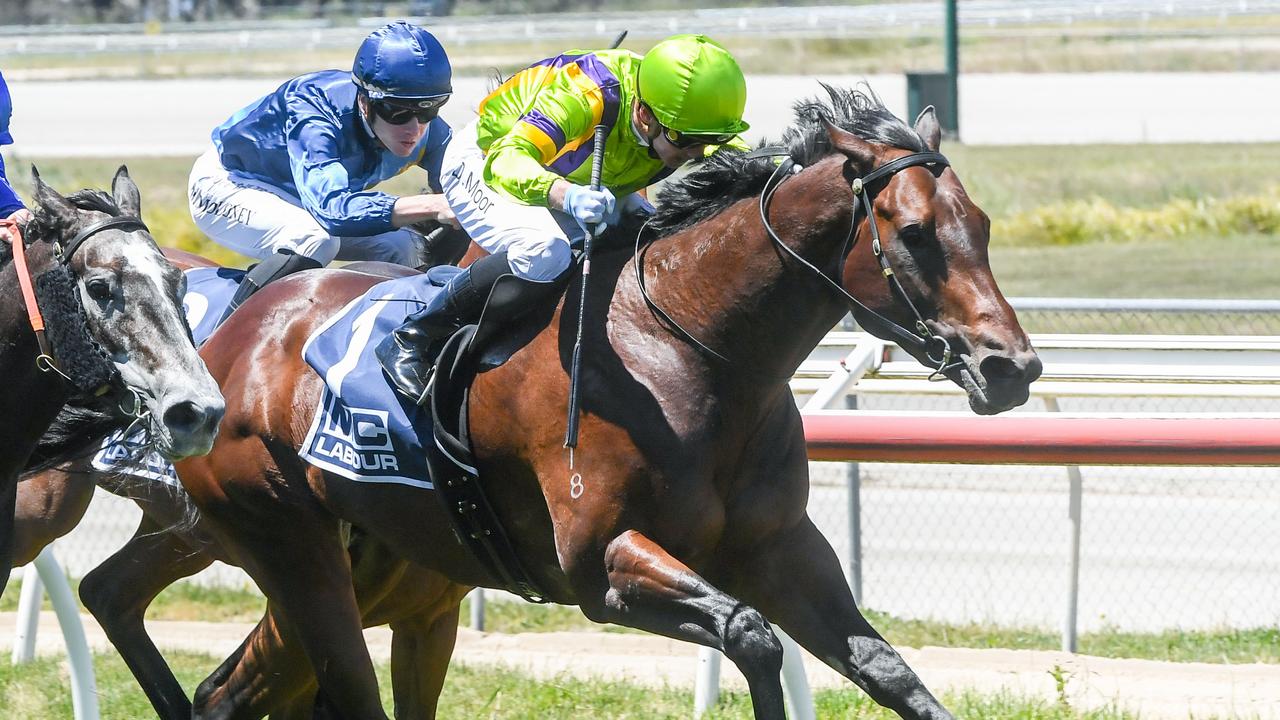 Along The River winning his maiden at Kilmore on November 21. Picture: Getty Images